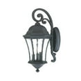 thumbnail image 1 of Acclaim Lighting 3612 Waverly 3 Light 19.5" Height Outdoor Wall Sconce, 1 of 2