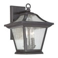 thumbnail image 1 of Acclaim Lighting 39012 Aiken 2 Light Outdoor Lantern Wall Sconce, 1 of 3