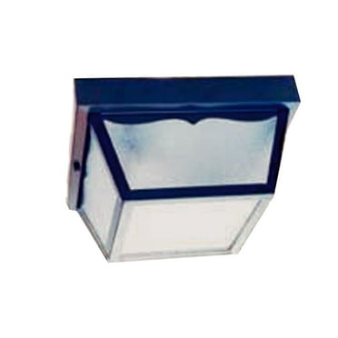 Acclaim Lighting 4902 Builder's Choice 2 Light 10" Width Outdoor Flushmount Ceiling