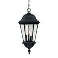 thumbnail image 1 of Acclaim Lighting 5526 Telfair 3 Light 25.5" Height Outdoor Pendant, 1 of 2