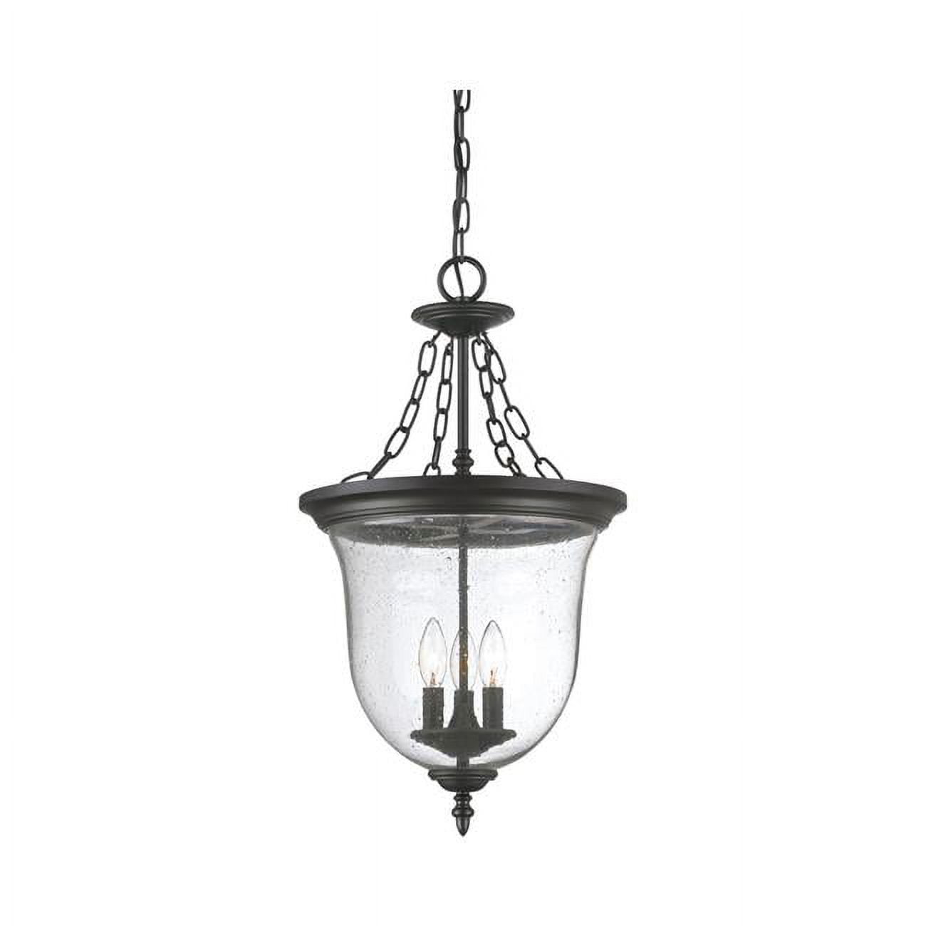 Matte Black Vintage Globe Outdoor Hanging Lantern, 18" Seeded Glass