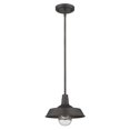 thumbnail image 1 of 1736ORB Acclaim Lighting Burry - 1 Light Outdoor Convertible Pendant in Versatile Style - 10.25 Inches Wide by 8 Inches High-Oil Rubbed Bronze Finish, 1 of 2