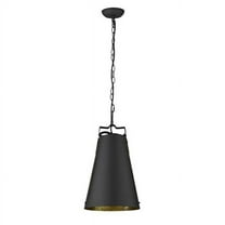 Acclaim Lighting - Faza 1-Light Pendant in Industrial Style - 12.5 Inches Wide