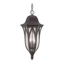 Acclaim Lighting Hanging Light,3-Light,Arch. Bronze 39826ABZ