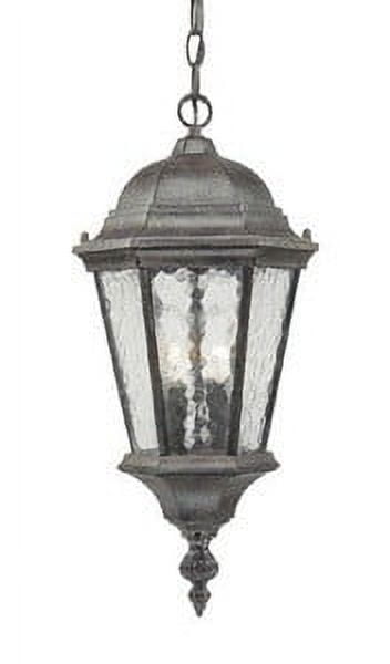 Matte Black Coral Telfair Outdoor Pendant Light with Hammered Water Glass