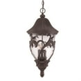 thumbnail image 1 of Acclaim Lighting 39226 Black Coral Capri 3 Light Outdoor Pendant, 1 of 2