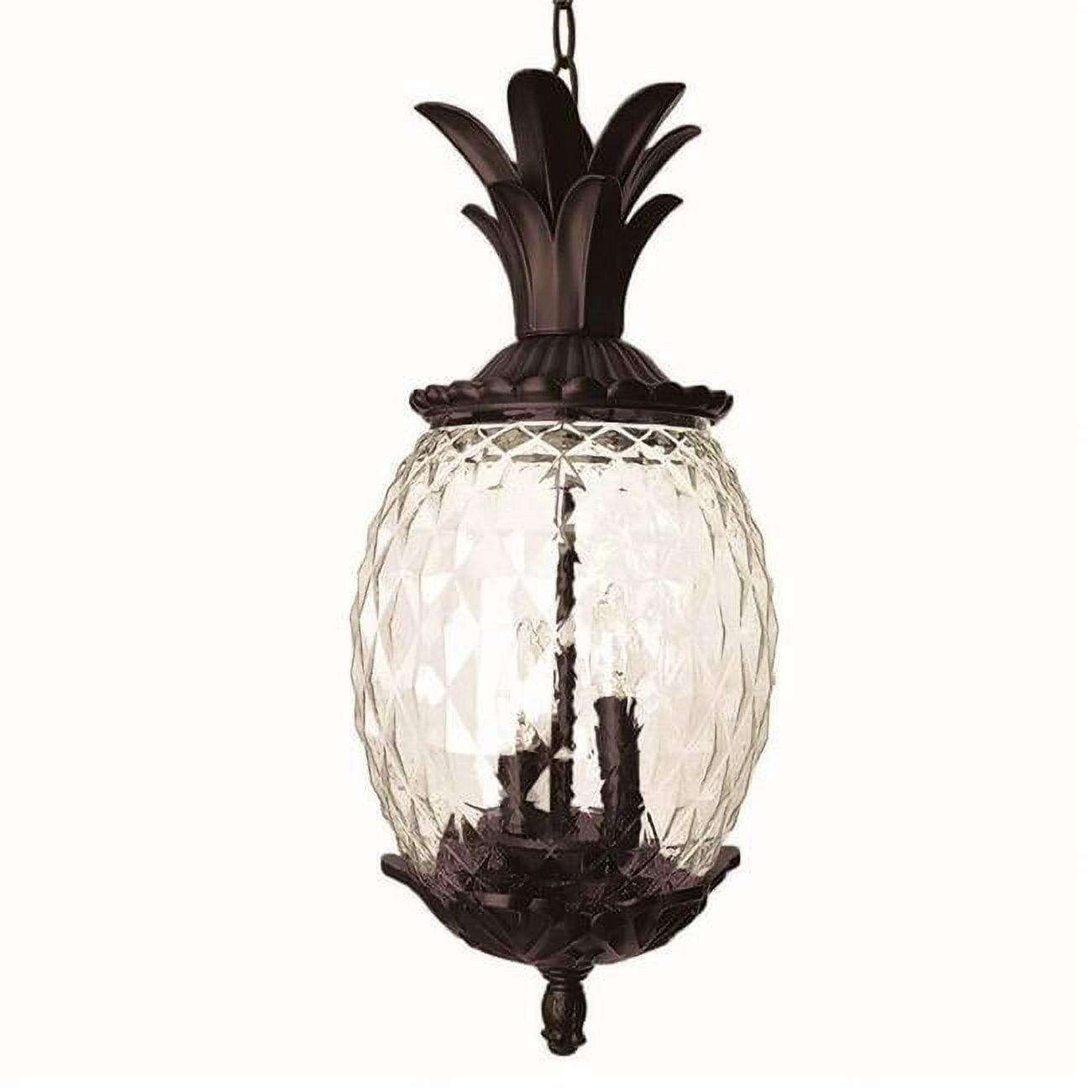 Lanai Matte Black Pineapple Glass Outdoor Hanging Lantern