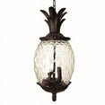 thumbnail image 1 of 7516BC Acclaim Lighting Lanai - Three Light Outdoor Hanging Lantern - 10 Inches Wide by 21 Inches High-Black Coral Finish, 1 of 9