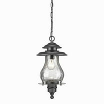 Acclaim Blue Ridge 1-Light Outdoor Hanging Lantern - Matte Black - 8206BK