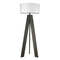Acclaim Lighting - Soccle 1-Light Floor Lamp in Contemporary Style - 22 Inches