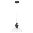 thumbnail image 1 of Acclaim Lighting - Virginia - One Light Mini Pendant - 9.75 Inches Wide by 9.5, 1 of 2