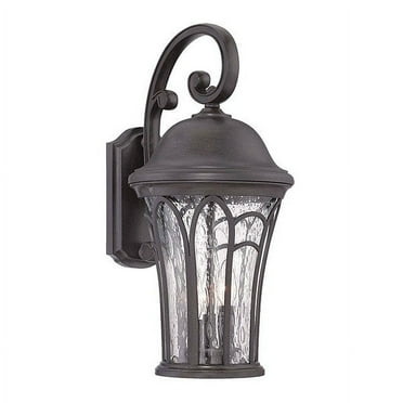 Acclaim Lighting Wall Light,Black Coral,1-Light 39502BC
