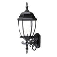 thumbnail image 1 of Acclaim Lighting - Wexford - Three Light Outdoor Wall Mount - 9.25 Inches Wide, 1 of 2