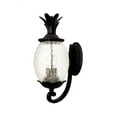 thumbnail image 1 of Acclaim Lighting - Lanai - Three Light Outdoor Wall Mount - 10 Inches Wide by, 1 of 11