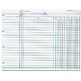 thumbnail image 1 of Acco/Wilson Jones Balance Ledger Columnar Sheets, 1 of 3