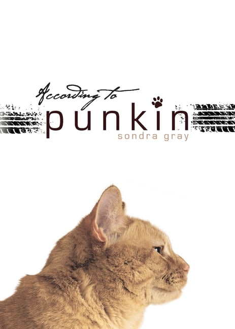According to Punkin, (Paperback)