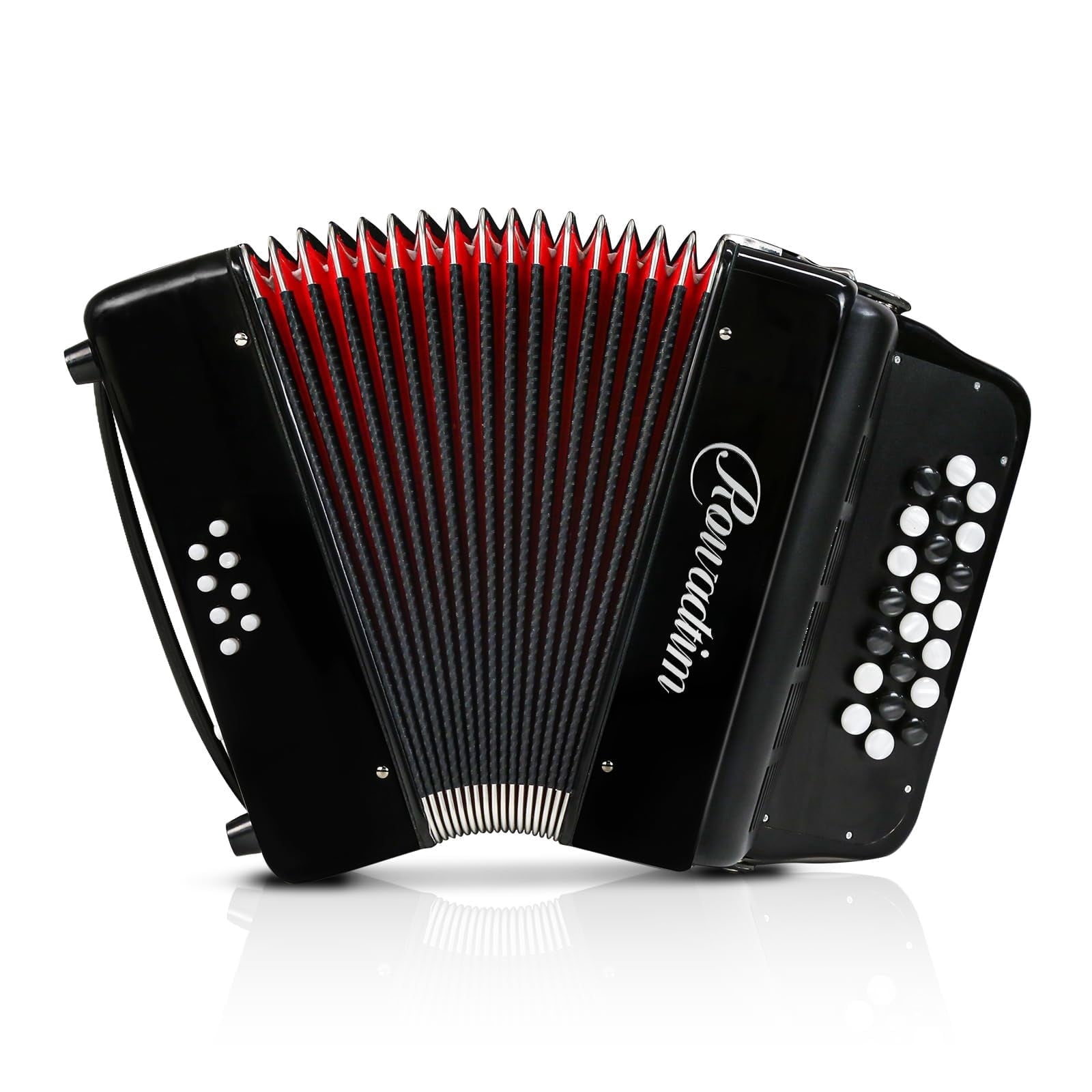 Accordion - 22 Keys 8 Bass, Lightweight Piano Accordion for Beginners, Vibrant Design for Beginners and Adults for Easy Learning (8 Bass,Black)