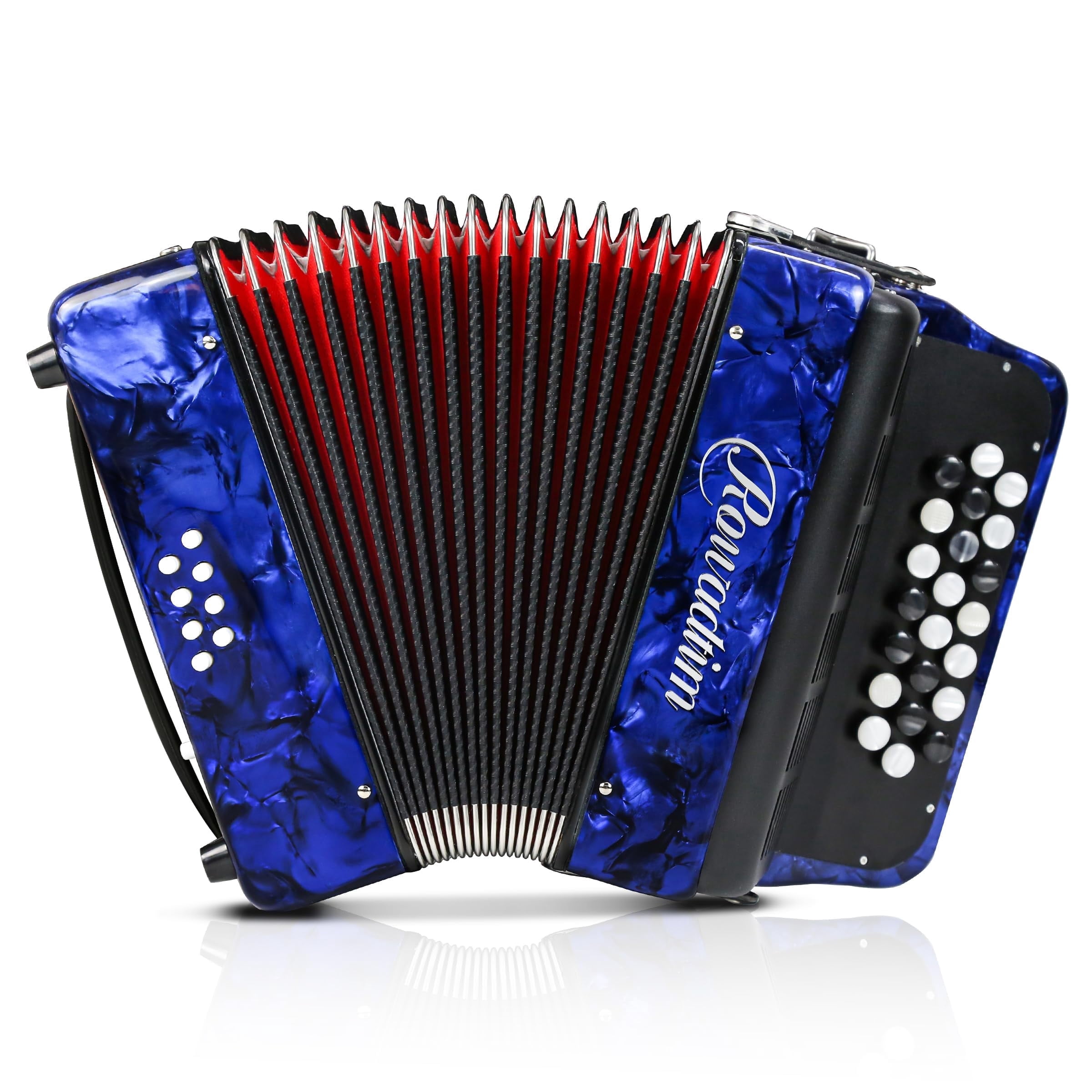 Accordion - 22 Keys 8 Bass, Lightweight Piano Accordion for Beginners, Vibrant Design for Beginners and Adults for Easy Learning (8 Bass,Blue)