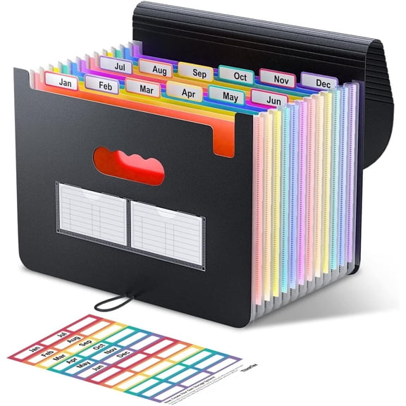 Accordion File Organizer, 13 Pockets Expanding File Folder, Portable Monthly Paper Bill Tax Receipt Organizer, Letter A4 Size Document Holder with Blank Labels, Black