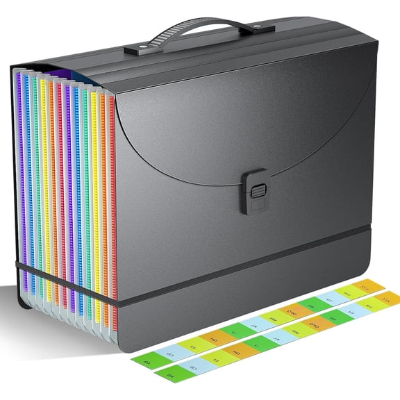 Accordion File Organizer/Expanding File Folder with Handle,13 Pockets Filing Box, for Desk top Stand/Portabe Document Paper Organizer,A4/Letter Size,Colored Monthly/Blank Tabs,Black Matte