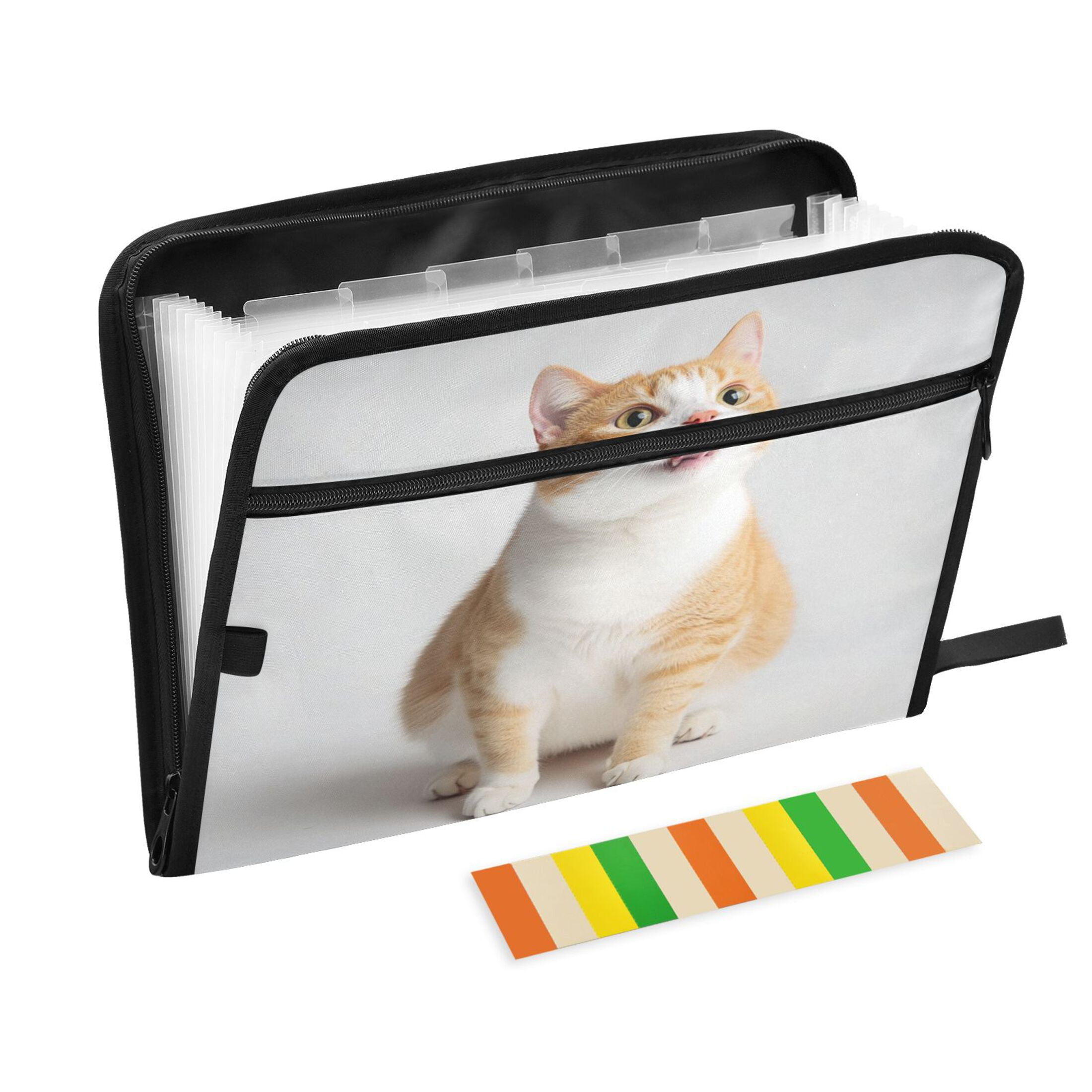 Accordion File Organizer with Zip Closure 13 Pockets Expanding File ...