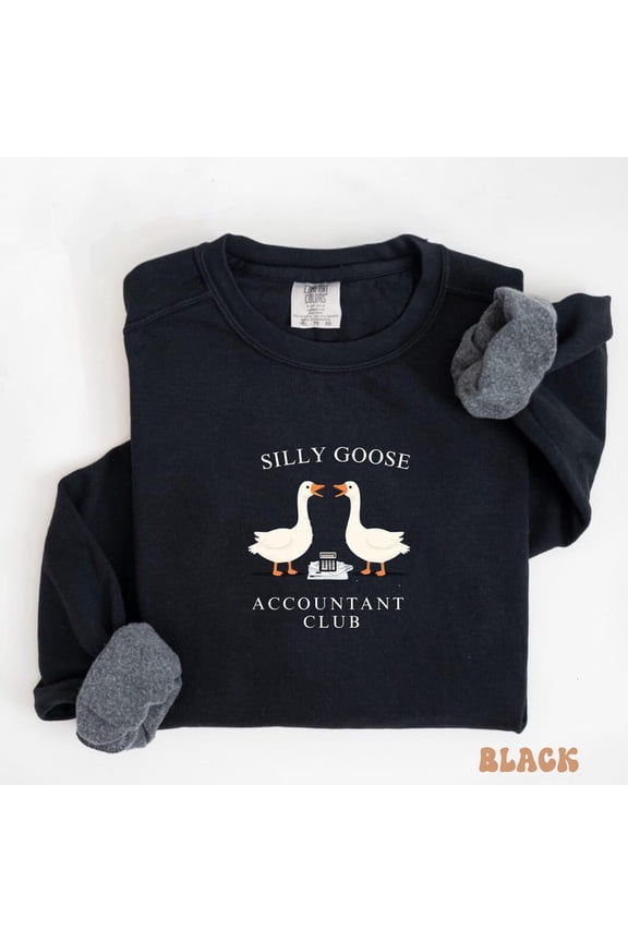 Accountant Sweatshirt, Retro accountant T SHIRT, Accountant Crewneck, CPA Sweater, Accounting Professional Apparel, CPA coworker, F1806 Sweatshirt All Size S-5XL