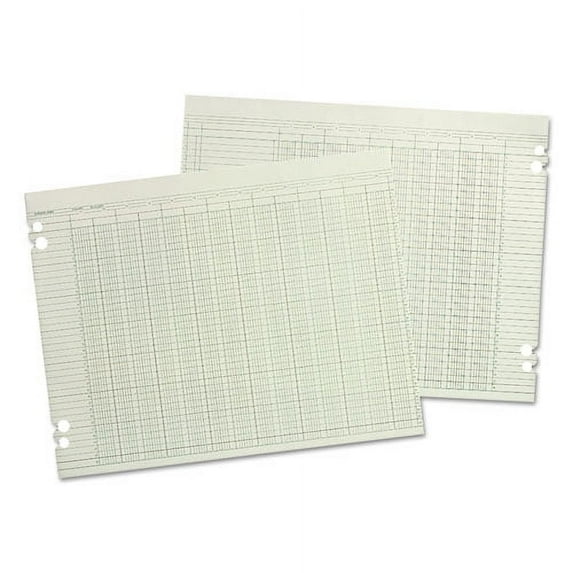 Accounting Sheets, 10 Columns, 9.25 X 11.88, Green, Loose Sheet, 100/pack | Bundle of 2 Packs