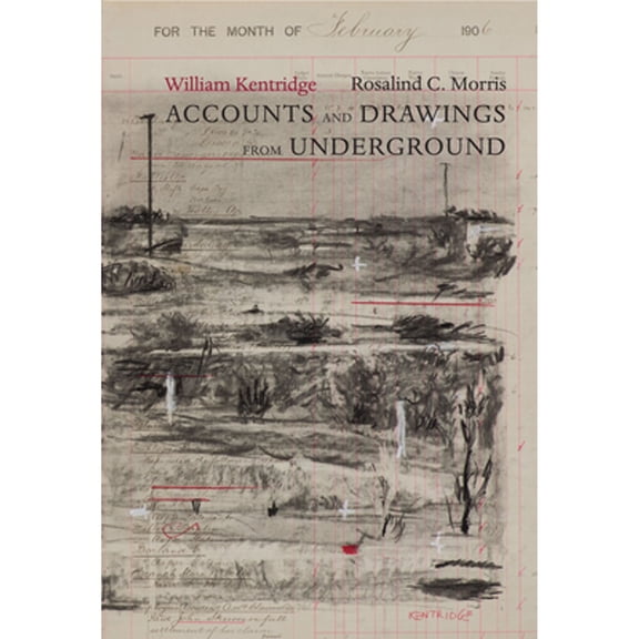 Pre-Owned Accounts and Drawings from Underground: The East Rand Proprietary Mines Cash Book, 1906 (Hardcover 9780857422057) by William Kentridge, Rosalind C Morris
