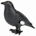 thumbnail image 1 of Accoutrements Hilarious and Entertaining Wind-Up Crazy Crow: 3-1/8" (7.9 cm) of Playful Skittering Funny Gifts Novelty Crow - Let The Antics Begin from Archie McPhee, 1 of 1