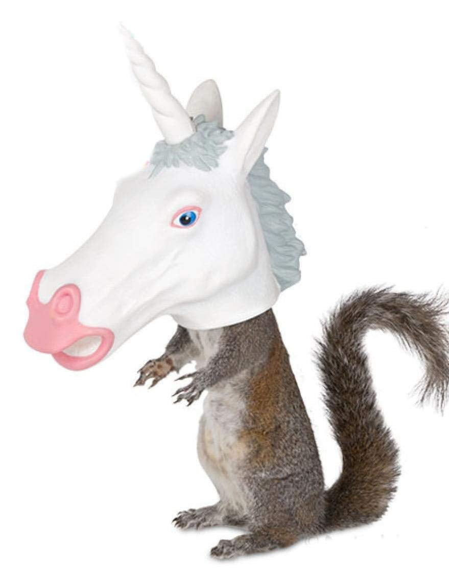 Archie McPhee Squirrel Feeder Unicorn Head - Thumbnail 2