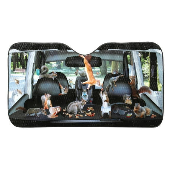 Accoutrements Squirrel Auto Sun Shade Sunshade - Fits Standard Size Windshields - 50" x 27.5"