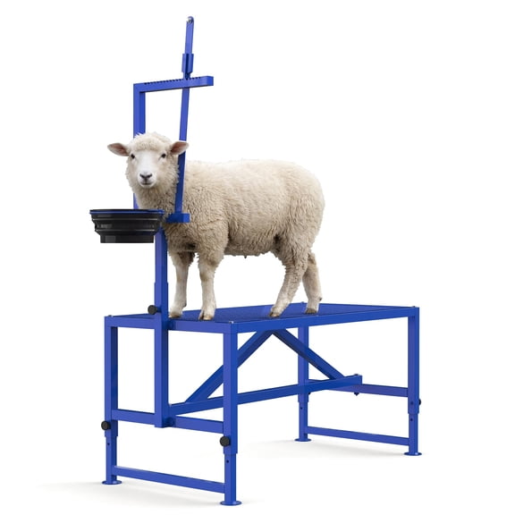 Accreate 47" Sturdy Steel Goat Station with Movable Head and Leg Rests, Plus Feeding Area - for Grooming, Shearing, Examining, and Milking