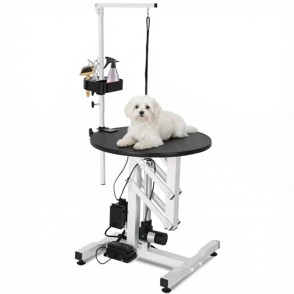 Accreate Electric Hydraulic Lift Dog Grooming Table 24 Inch – Rotating Desktop, Overhead Arm, Foot Remote, Tool Organizer, 250 lbs Capacity – Professional Pet Bathing Accessory
