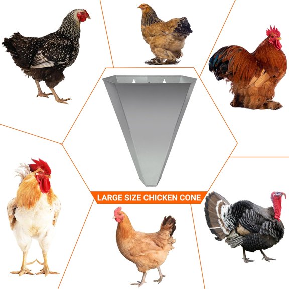 Accreate Poultry Restraining Cone Medium Size,Galvanized Steel Chicken Killing Cone for Butchering Chicken Birds Turkeys Up to 8 Pounds, Flat-Back Poultry Killing Cone, Easy to Clean 4 Sizes 2M+2L