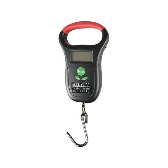 Accu-Cull Digital Scale