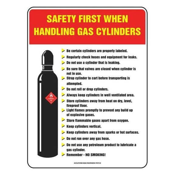 Accuform Safety Poster,22 in x 17 in,Plastic SP124489L