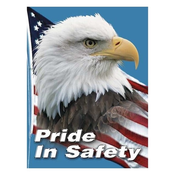 Accuform Safety Poster,22 in x 17 in,Plastic SP124511L