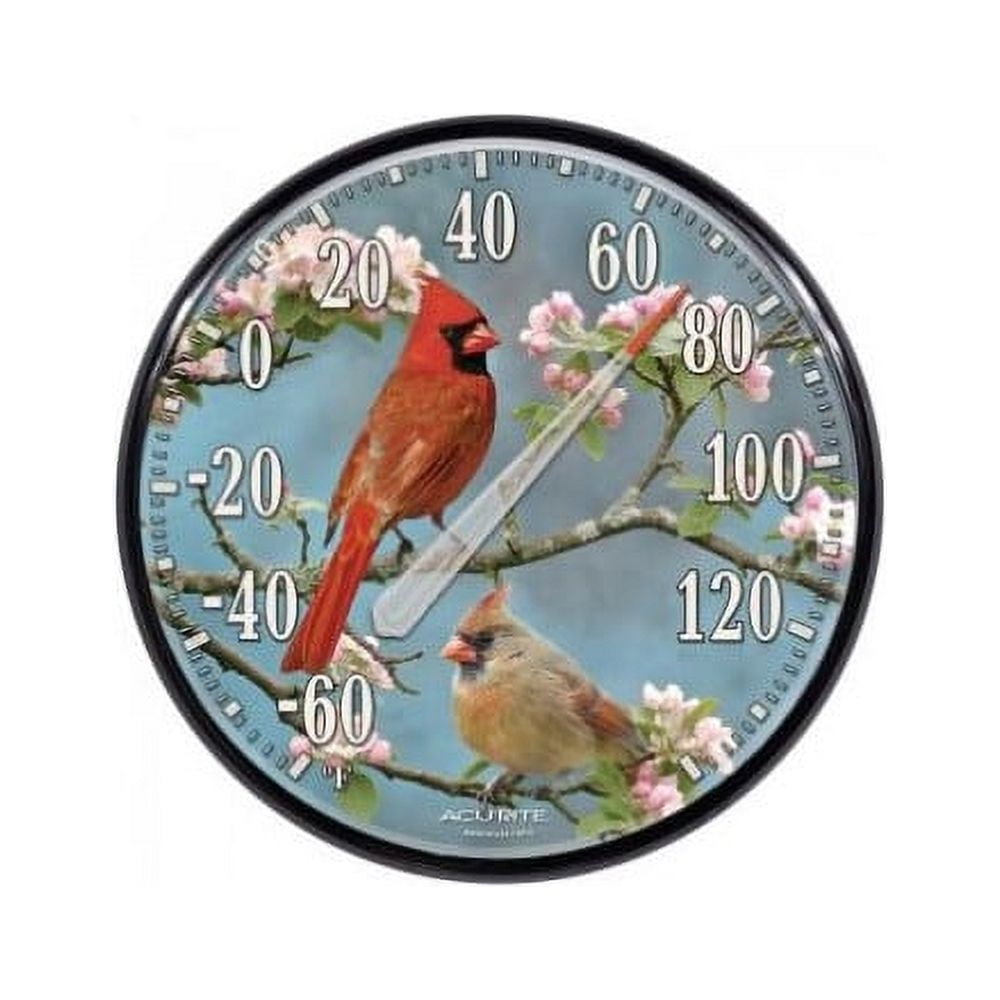 ACURITE Accurite Indoor / Outdoor Cardinals Thermometer