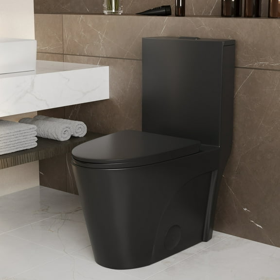 Ace 1-Piece 0.8/1.28 GPF Dual Flush Elongated Toilet in Black, Seat Included