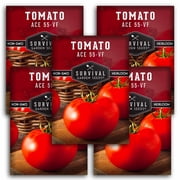 Ace 55-VF Tomato Seeds - Full Sun Annual Vegetable - 5 Packs