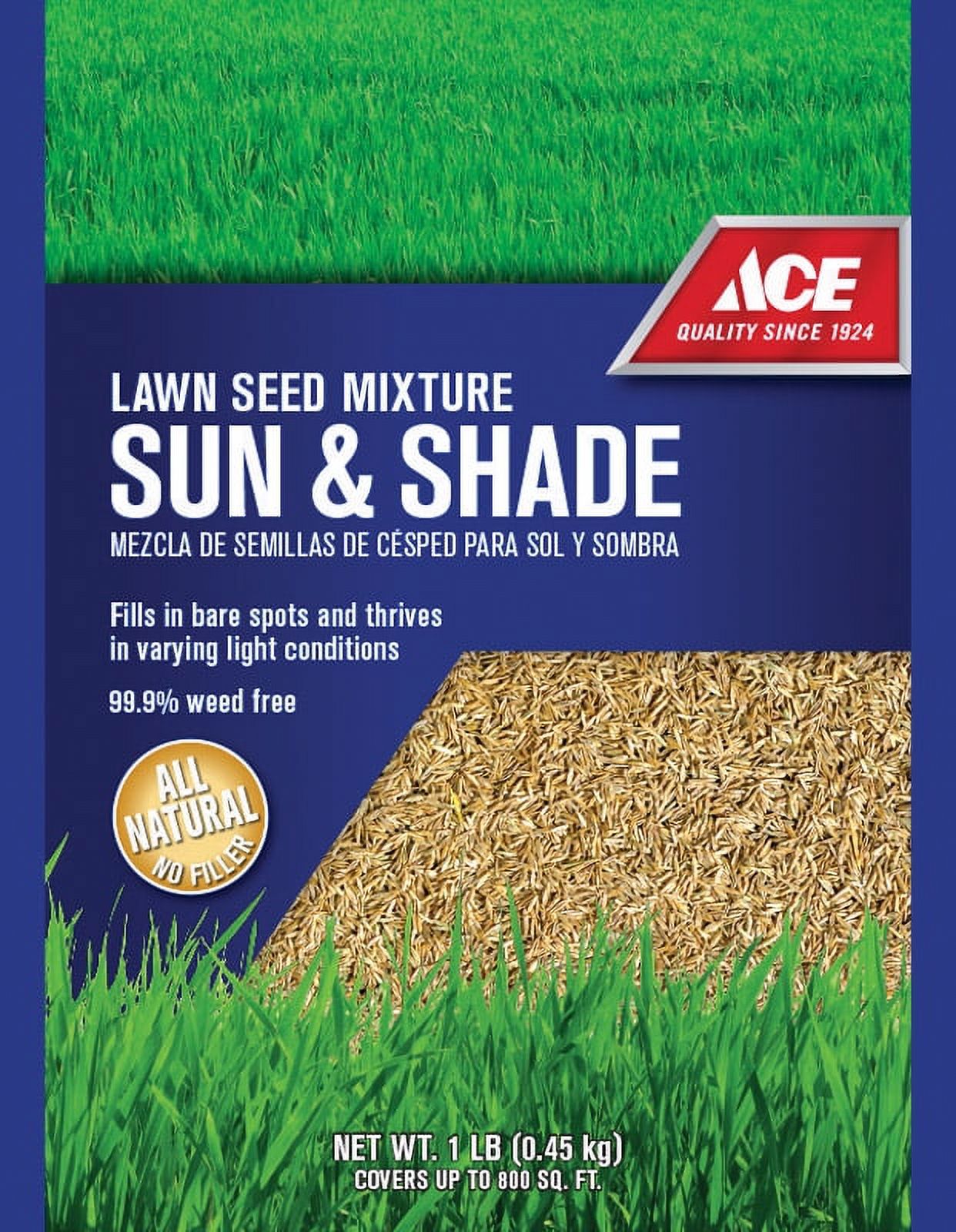 Ace Mixed Full Shade Grass Seed 1 lb - image 1 of 1