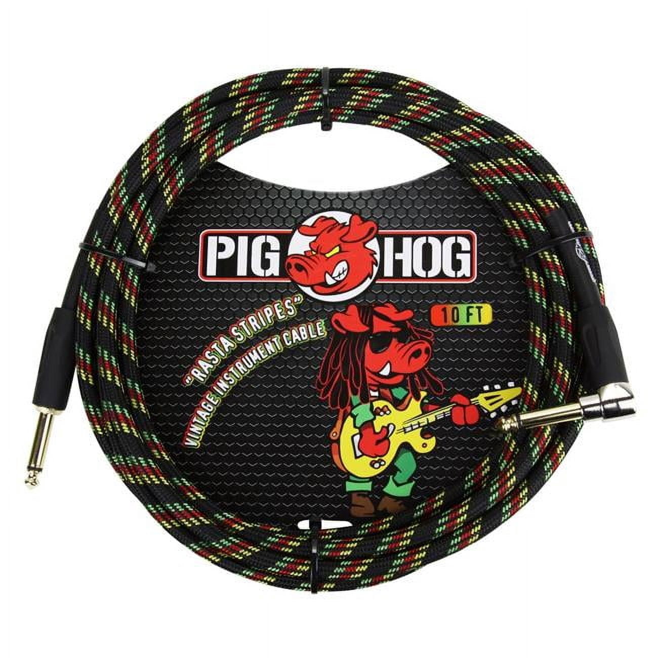 Ace Products Group  Woven Jacket Tour Grade Instrument Cable, 10 ft. - Rasta Stripes