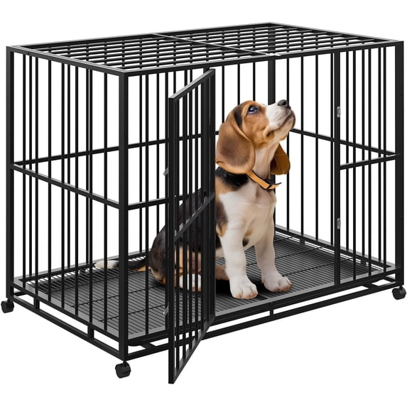 Picture Idea: Acekid 36 Inch Stainless Steel Dog Crate Indoor Outdoor Cage