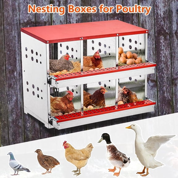 Acekid 6 Compartment Chicken Nesting Box, Roll-Out Egg Collection, Metal Coop with Perch for Hens & Ducks