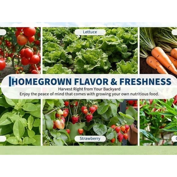 Acekid 8x4x1 Ft Galvanized Raised Garden Bed with Cover - Planter Box with Screen Windows, Black