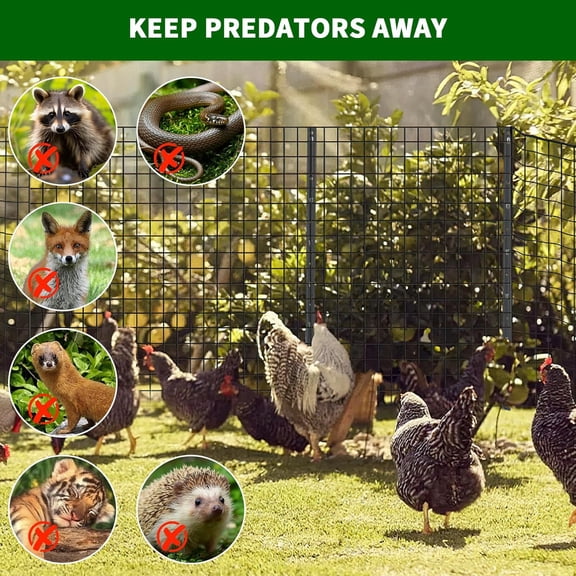 Acekid Hardware Cloth Chicken Wire Fence, Galvanized Steel Mesh Rolled Fencing for Garden Poultry Cage, Black