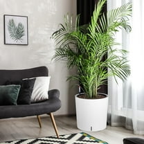 Acekid Tall Round Planter Set of 2, 19.5" H x 19.9" Dia Large Planters for Indoor Plants with Built-in Drainage and a Water Level Monitor and Wheels for Patio, Porch, Living Room