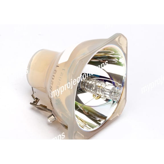 Acer EC.J0300.001 Bare Projector Lamp