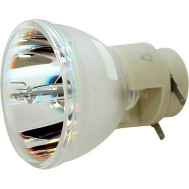 Acer EC.J9900.001 Replacement Lamp