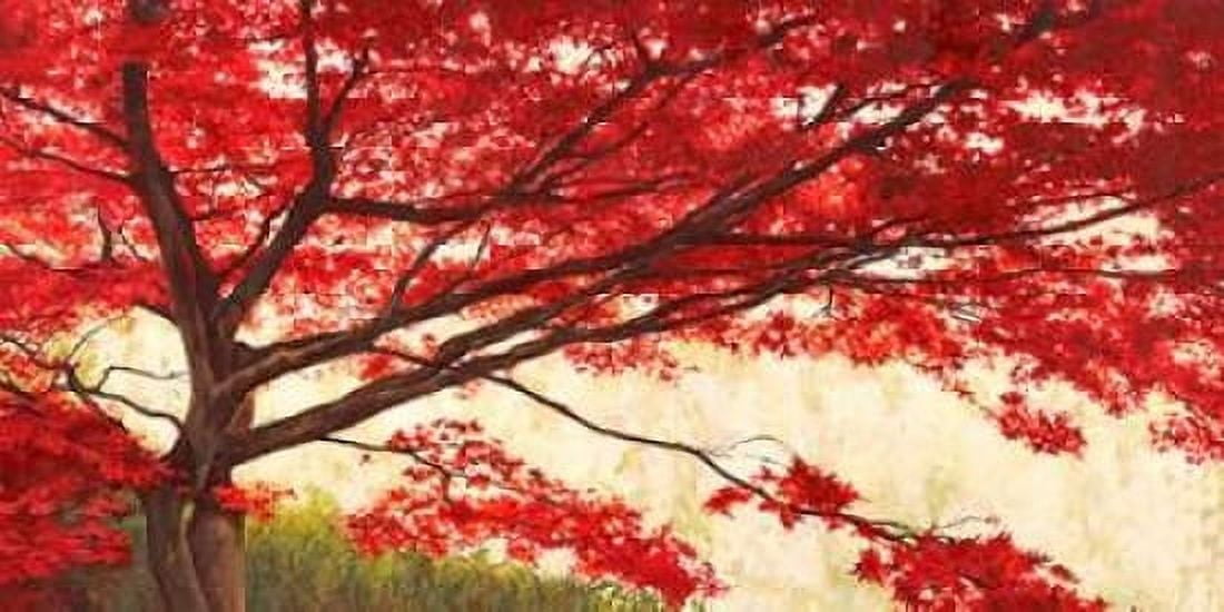 Acero Canvas Art - Leonardo Bacci (10 x 20)